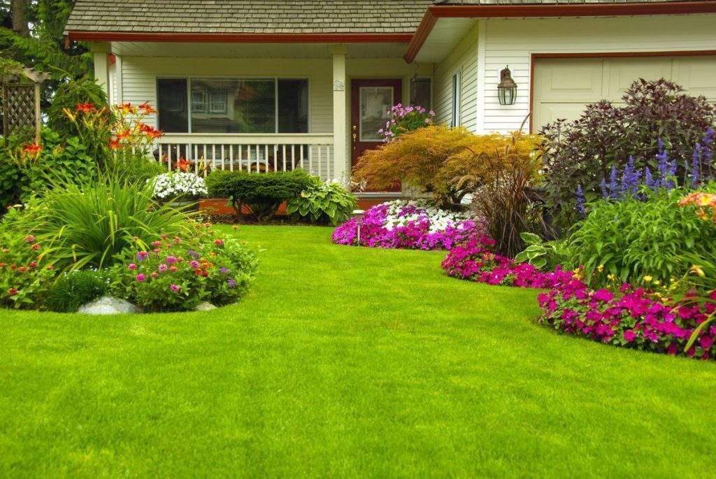 Local landscaping services